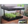 Image 13 : Outdoor Living & Garden Lot With Hanging Planters, Hoses, New Grow Light Garden, Bulbs