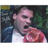 Image 1 : Nightbreed Craig Sheffer Signed Photo