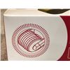 Image 4 : 540 Needle Derma Roller