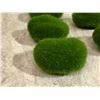 Image 4 : 2 Pack - Mini Artificial Grass Squares 6x6in