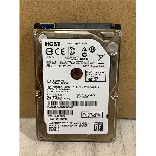 HGST 1.0TB Computer Hard Drive - Formatted