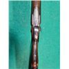 Image 11 : Belgian 12ga Stagecoach Style Shotgun