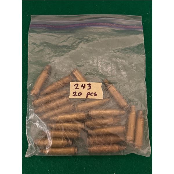 243 Win Brass