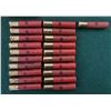 Image 9 : .410 Ga Mixed Shotshells