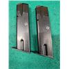 Image 1 : 2  .40 S&W Magazines Possibly CZ