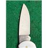 Image 10 : Zippo Stainless Steel Folding Pocket Knife in Calde Ridge Survival Co. Nylon Case