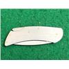 Image 5 : Zippo Stainless Steel Folding Pocket Knife in Calde Ridge Survival Co. Nylon Case