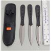 Image 1 : 3 Throwing Knives w/ Sheath