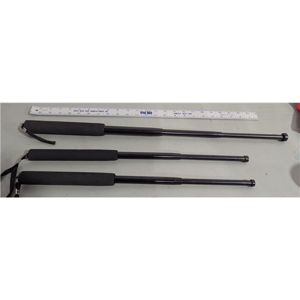 3 Expandable Batons