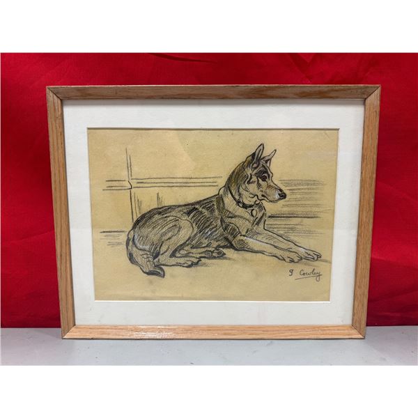 Framed Dog Sketch by G Courley