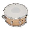 Image 6 : DW Drums - Performance Series All Birch Limited Edition Snare 6.5x14 DRPS6514SSSN-B