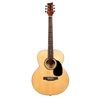 Image 1 : BeaverCreek - BCTF101 Folk Size