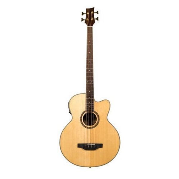 BeaverCreek - BCB05CE with Gig Bag