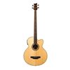 Image 1 : BeaverCreek - BCB05CE with Gig Bag