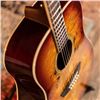 Image 3 : Washburn - Deep Forest Burl D  -  Amber Fade - DFBDA