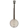 Image 1 : Washburn - Americana B7 Natural Matte B7-A-U