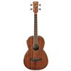 Image 1 : Ibanez - PNB14E  - OPN : Open Pore Natural