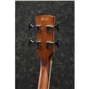 Image 3 : Ibanez - PNB14E  - OPN : Open Pore Natural