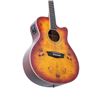 Image 3 : Washburn - Deep Forest Burl Grand Auditorium Acoustic-Electric Guitar - Amber Fade - DFBACEA