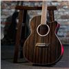 Image 1 : Washburn - Deep Forest Ebony Ace Striped Ebony DFEACE-A-U