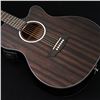 Image 2 : Washburn - Deep Forest Ebony Ace Striped Ebony DFEACE-A-U