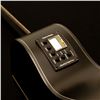 Image 3 : Washburn - Deep Forest Ebony Ace Striped Ebony DFEACE-A-U