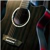 Image 5 : Washburn - Deep Forest Ebony Ace Striped Ebony DFEACE-A-U