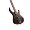 Image 3 : Cort - Open Pore Walnut Action PJ