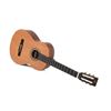Image 5 : Sigma -  Solid Cedar Top Classical Acoustic Guitar with Truss Rod - Satin Finish - CM-ST