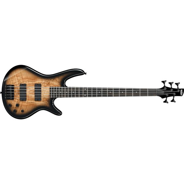 Ibanez - GSR205SM NGT: Natural Gray Burst