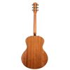Image 3 : Godin - Forum Natural RN GT EQ 52110