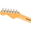 Image 6 : Fender - American Professional Classic Stratocaster® - Maple Fingerboard - Faded Lake Placid Blue - 