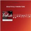 Image 6 : Lot de 9: D'Addario - Prelude J810 Violin String Set - 1/16 Scale - Medium Tension