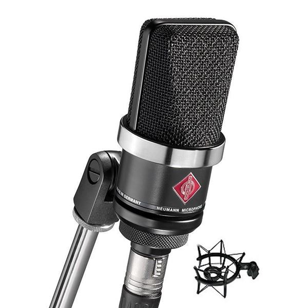 Neumann - TLM 102 Studio Set with EA-4 Shockmount