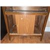 Image 2 : Mid-Century Wood Veneer Record Cabinet with Sliding Doors