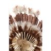 Image 5 : Navajo Diné Buffy Sam "Western Plain" War Bonnet