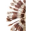 Image 7 : Navajo Diné Buffy Sam "Western Plain" War Bonnet