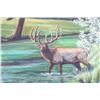 Image 7 : Signed John Kosel "Springtime" Oil on Canvas, 2005
