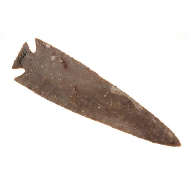 7 3/4" Pulaski Projectile Point 7,000-5,500 B.P.