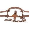 Image 3 : Duke Trap #15 Bear D Double Spring Bear Trap