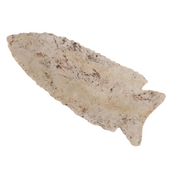 3 1/8" MacCorkle Projectile Point 8,850-8,750 B.P.