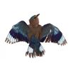 Image 1 : European Roller Jay In Flight Full Body Taxidermy
