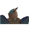 Image 3 : European Roller Jay In Flight Full Body Taxidermy