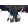 Image 5 : European Roller Jay In Flight Full Body Taxidermy