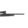 Image 3 : Ruger 10/22 Semi Automatic .22 LR Rifle