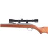 Image 10 : Marlin Model 60 .22 Cal Semi Auto Rifle