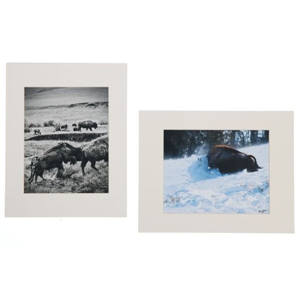 Montana Artist Tom Pallach Bison Photography Pair