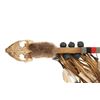 Image 2 : Chippewa Cree Turtle Skull Hoop Dance Stick