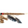 Image 4 : Chippewa Cree Turtle Skull Hoop Dance Stick