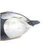 Image 8 : Ray Poquette Ducks Unlimited Duck Decoy c. 1991